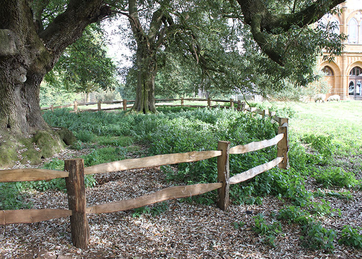 cleft oak fence, cleft fence, oak post and rail, Stowe fence, two rail post and rail